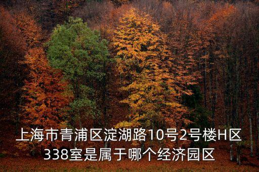 上海市青浦區(qū)淀湖路10號(hào)2號(hào)樓H區(qū)338室是屬于哪個(gè)經(jīng)濟(jì)園區(qū)