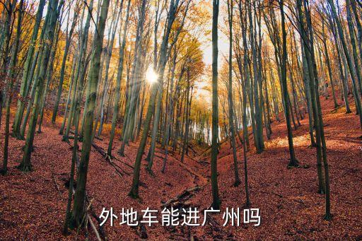 外省小車可以去廣州嗎，外地車能進廣州嗎