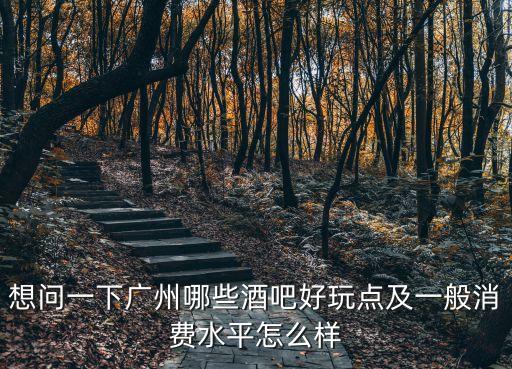 想問(wèn)一下廣州哪些酒吧好玩點(diǎn)及一般消費(fèi)水平怎么樣