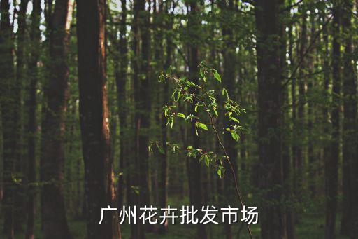 廣州花卉批發(fā)市場(chǎng)