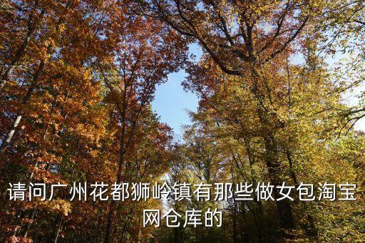 請問廣州花都獅嶺鎮有那些做女包淘寶網倉庫的