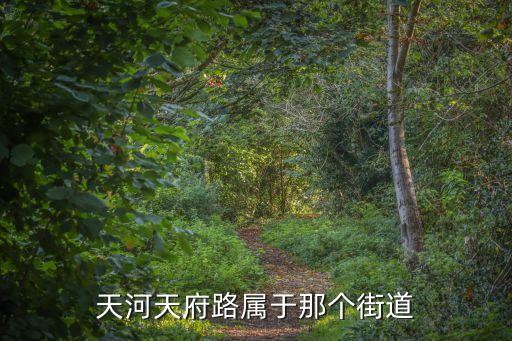 天河天府路屬于那個街道
