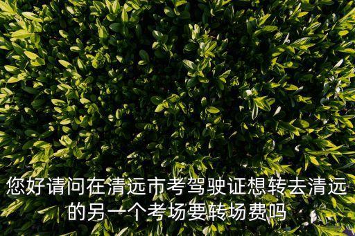 您好請問在清遠市考駕駛證想轉(zhuǎn)去清遠的另一個考場要轉(zhuǎn)場費嗎