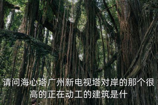 廣州塔對岸規劃，廣州塔對面河的建筑物是什么