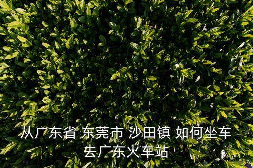 從廣東省 東莞市 沙田鎮 如何坐車去廣東火車站