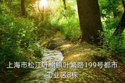 上海市松江葉榭鎮葉繁路199號都市工業區8棟