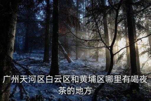 廣州天河區白云區和黃埔區哪里有喝夜茶的地方