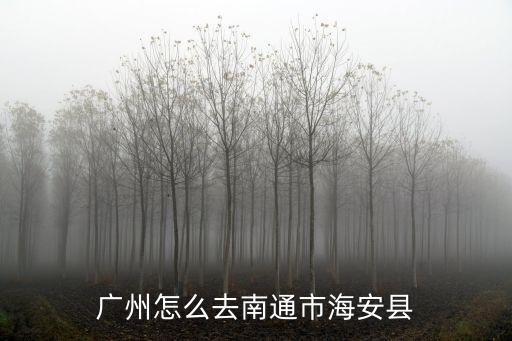廣州到海安坐幾個小時，廣州坐大巴到海安要多長時間