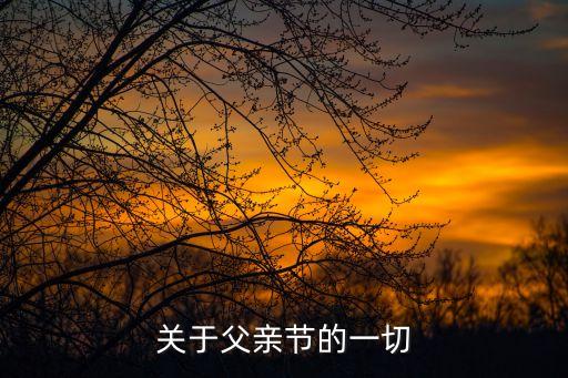 上海市趙雯父親，關(guān)于父親節(jié)的一切