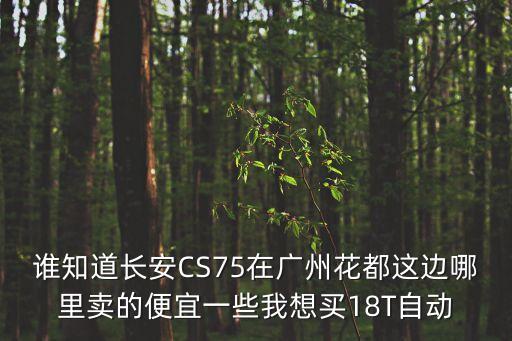廣州長安cs75特惠，誰知道長安CS75在廣州花都這邊哪里賣的便宜一些我想買18T自動