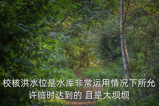 校核洪水位，什嗎是水利工程設計中的校核洪水位