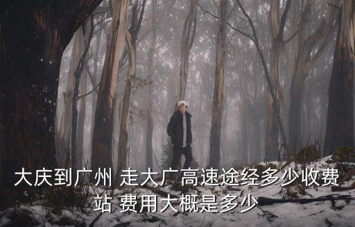 大慶到廣州 走大廣高速途經多少收費站 費用大概是多少
