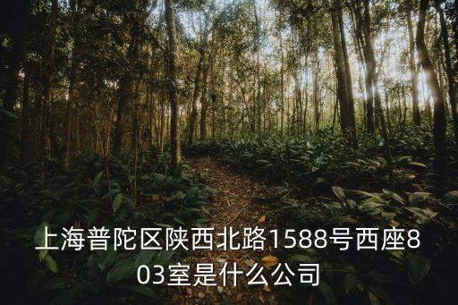 上海普陀區陜西北路1588號西座803室是什么公司