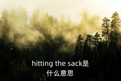 hitting，with sth hitting 是什么意思