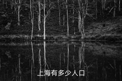 上海市人口和經(jīng)濟(jì)，上海有多少人口