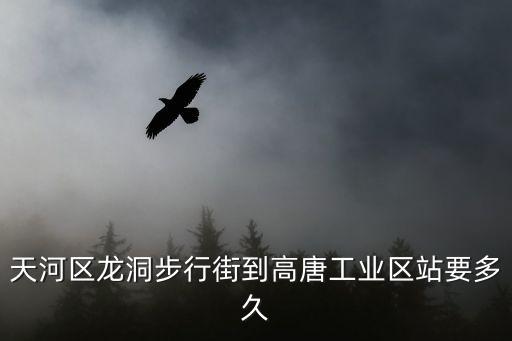 天河區(qū)龍洞步行街到高唐工業(yè)區(qū)站要多久