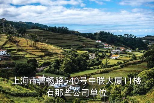 上海市興農(nóng)建筑有限公司，上海市光復(fù)路195號(hào)四行創(chuàng)意倉庫409室公司挺大的 公司叫什么名字