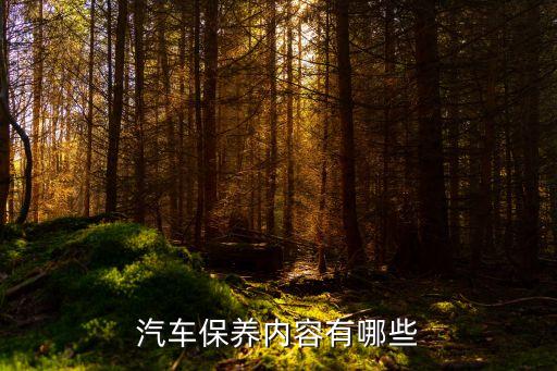 汽車養護，什么是汽車養護