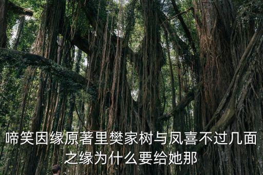 樊家樹，啼笑因緣原著里樊家樹與鳳喜不過幾面之緣為什么要給她那