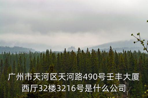 廣州市天河區(qū)天河路490號壬豐大廈西廳32樓3216號是什么公司