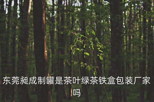 廣州茶包廠家，東莞昶成制罐是茶葉綠茶鐵盒包裝廠家嗎