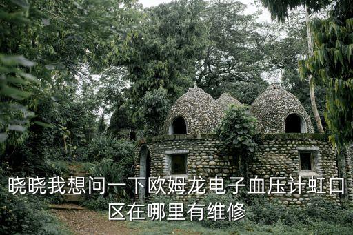 曉曉我想問一下歐姆龍電子血壓計(jì)虹口區(qū)在哪里有維修