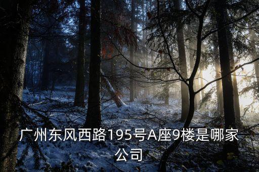 廣州東風(fēng)西路195號(hào)A座9樓是哪家公司