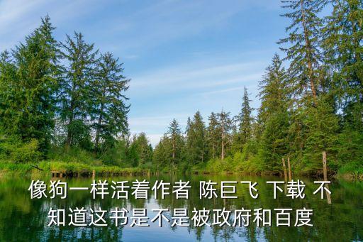 陳巨飛，陳巨飛被北大錄取了嗎