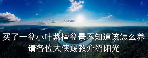 買(mǎi)了一盆小葉紫檀盆景不知道該怎么養(yǎng)請(qǐng)各位大俠賜教介紹陽(yáng)光