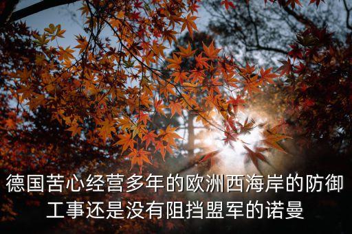 巴列夫防線，希特勒在挪威到西班牙構筑了一條防線叫什么