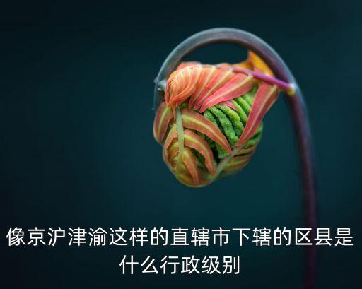上海市紅橋區(qū)區(qū)委書記，上海市閔行區(qū)長甲路688號虹橋天地在哪