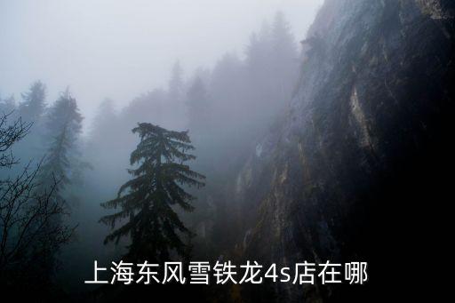 上海市雪鐵龍汽車4s店，東風雪鐵龍在上海有哪些4S店