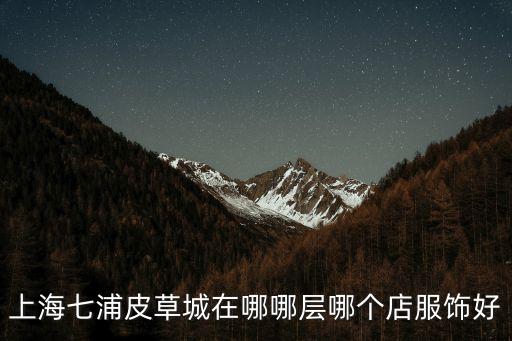 上海七浦皮草城在哪哪層哪個店服飾好
