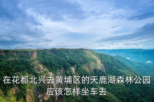 在花都北興去黃埔區的天鹿湖森林公園應該怎樣坐車去