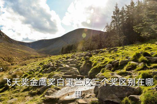 飛天獎金鷹獎白玉蘭這三個獎區別在哪里