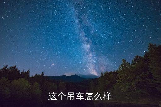這個吊車怎么樣