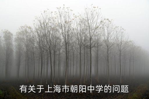 上海市航天局 許忠良，2010年上海世博會上海申辦代表團的一位市名代表是
