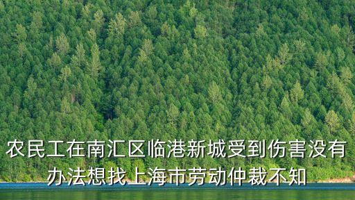 農民工在南匯區臨港新城受到傷害沒有辦法想找上海市勞動仲裁不知