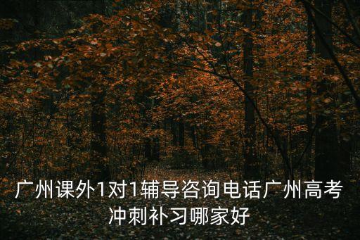 廣州課外1對(duì)1輔導(dǎo)咨詢(xún)電話廣州高考沖刺補(bǔ)習(xí)哪家好