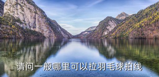 廣州蘿崗區(qū)哪里能羽毛球拍拉線，廣州哪里拉羽毛球線比較好啊請(qǐng)幫忙介紹一下