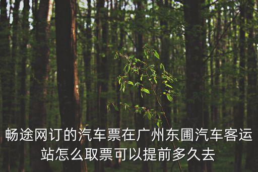 暢途網訂的汽車票在廣州東圃汽車客運站怎么取票可以提前多久去