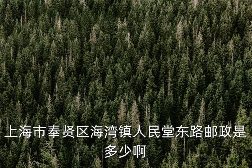 上海市奉賢區(qū)海灣鎮(zhèn)人民堂東路郵政是多少啊