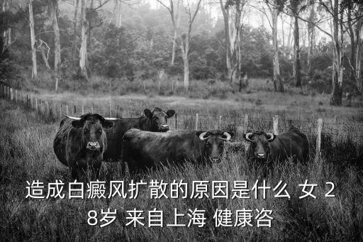 上海市健康促進中心 官網，造成白癜風擴散的原因是什么 女 28歲 來自上海 健康咨