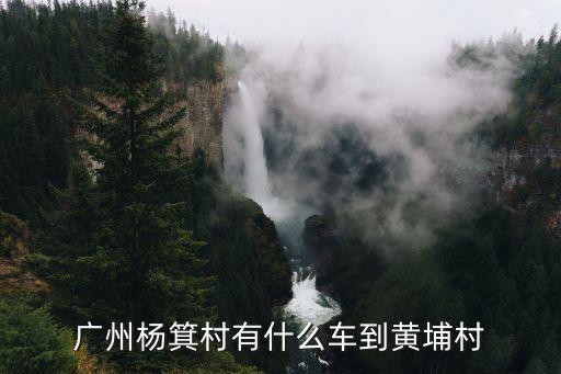 廣州楊箕本地土豪，廣州站離廣州東站有多遠