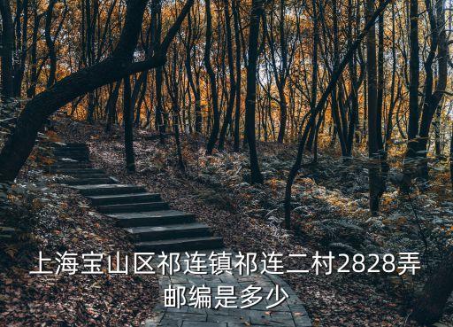 上海市祁連二村貼吧，祁連二村周邊有什么雙語小學和幼兒園有一套二村三樓的房子43