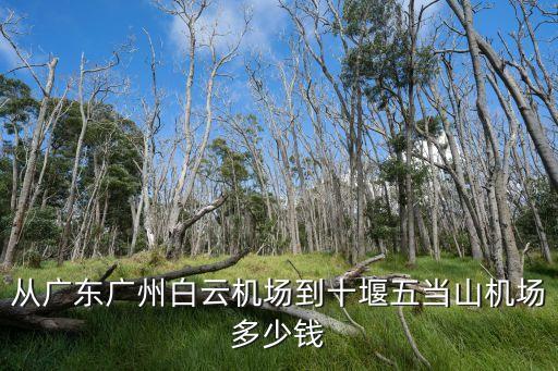 廣州到武當(dāng)山的飛機(jī)票多少錢，廣州飛武當(dāng)山機(jī)票多少錢一天幾班