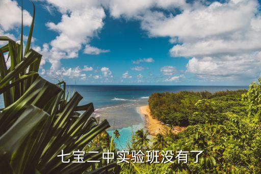 上海市七寶二中開放日，七寶二中特色班和上海教科實驗中學哪個好