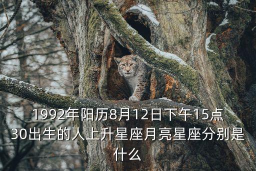 廣州樓市印象，美國簽證怎么預約需要注意什么