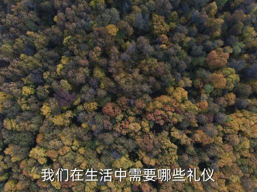 生活中的禮儀，我們?cè)谏钪行枰男┒Y儀