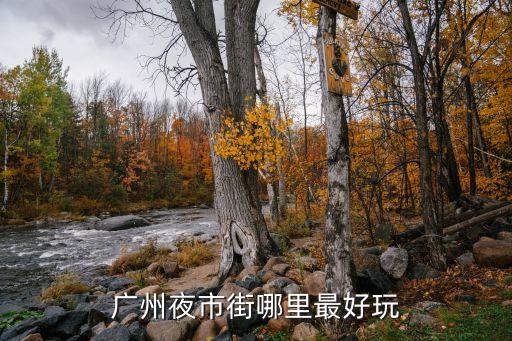 廣州網紅燈光盛宴，這個人網紅叫什么名字小網紅